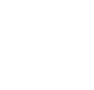 DPS Meridian Heights Logo